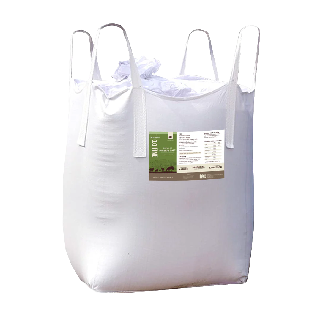 10 Fine - Premium Mineral Salt - Image 6