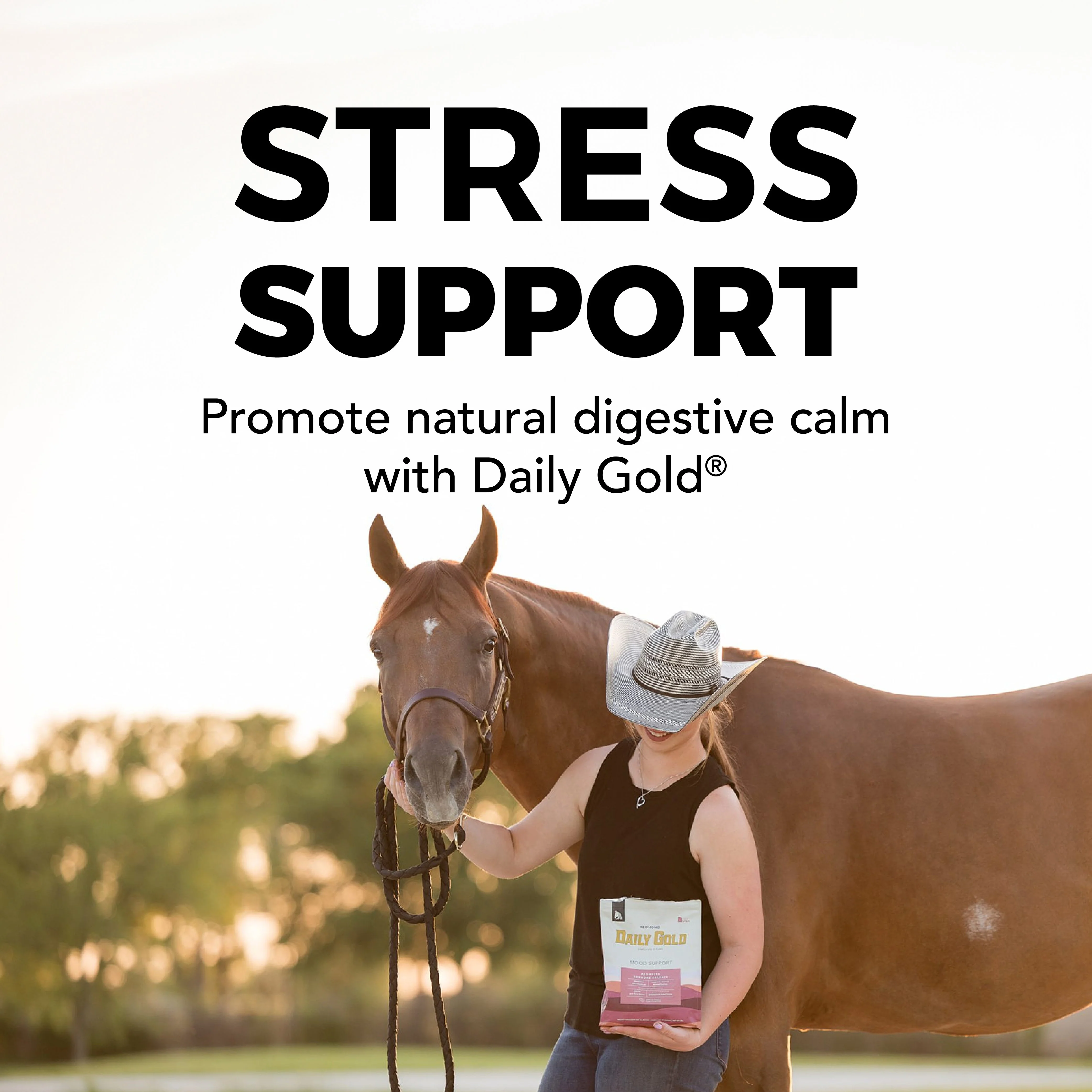 Daily Gold® Mood Support - Horse Gut Supplement - Image 6