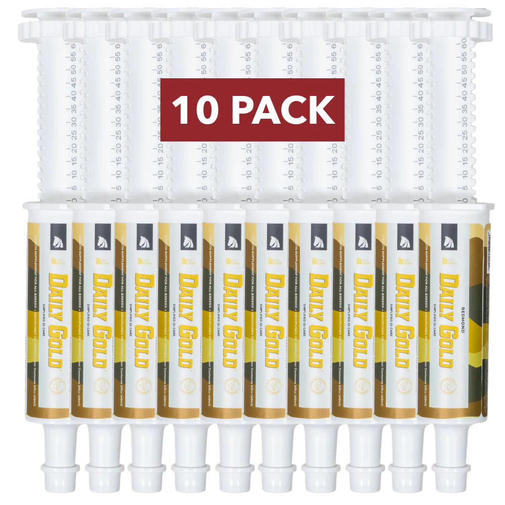 Daily Gold® Paste - Digestive Stress Relief for Horses - Image 5