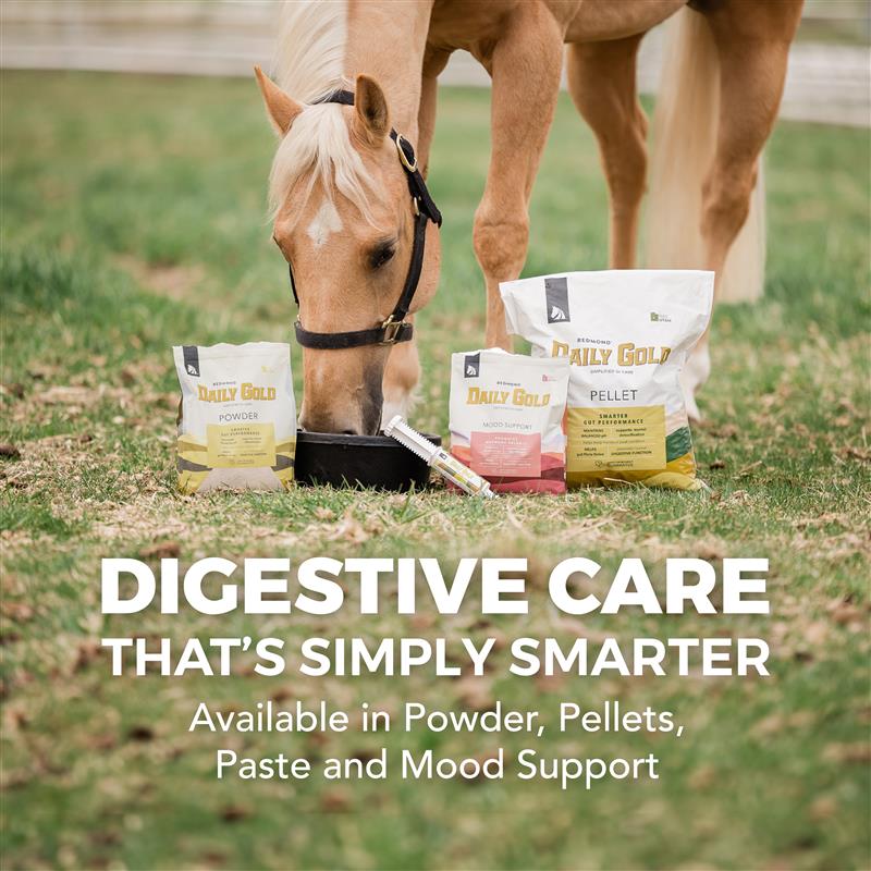 Daily Gold® - Horse Gut Supplements - Image 3