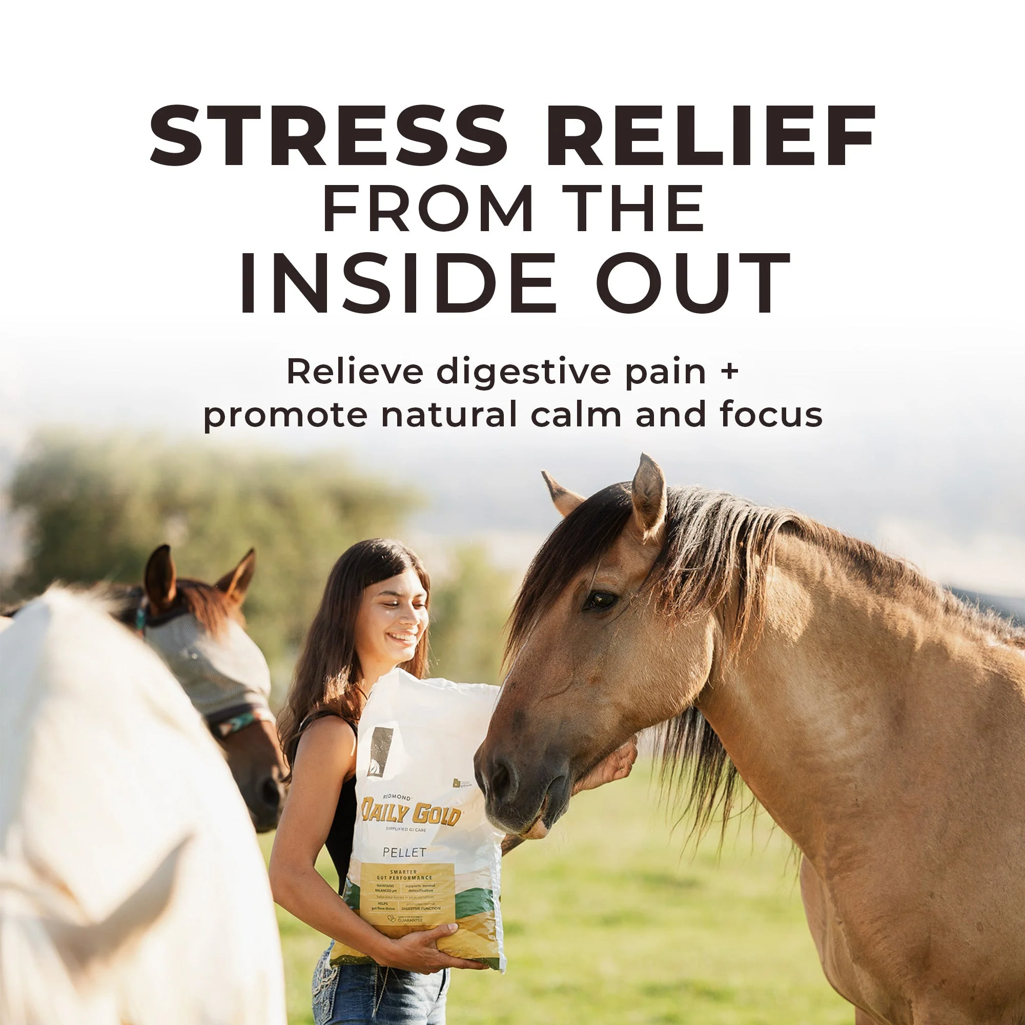 Daily Gold® - Horse Gut Supplements - Image 4