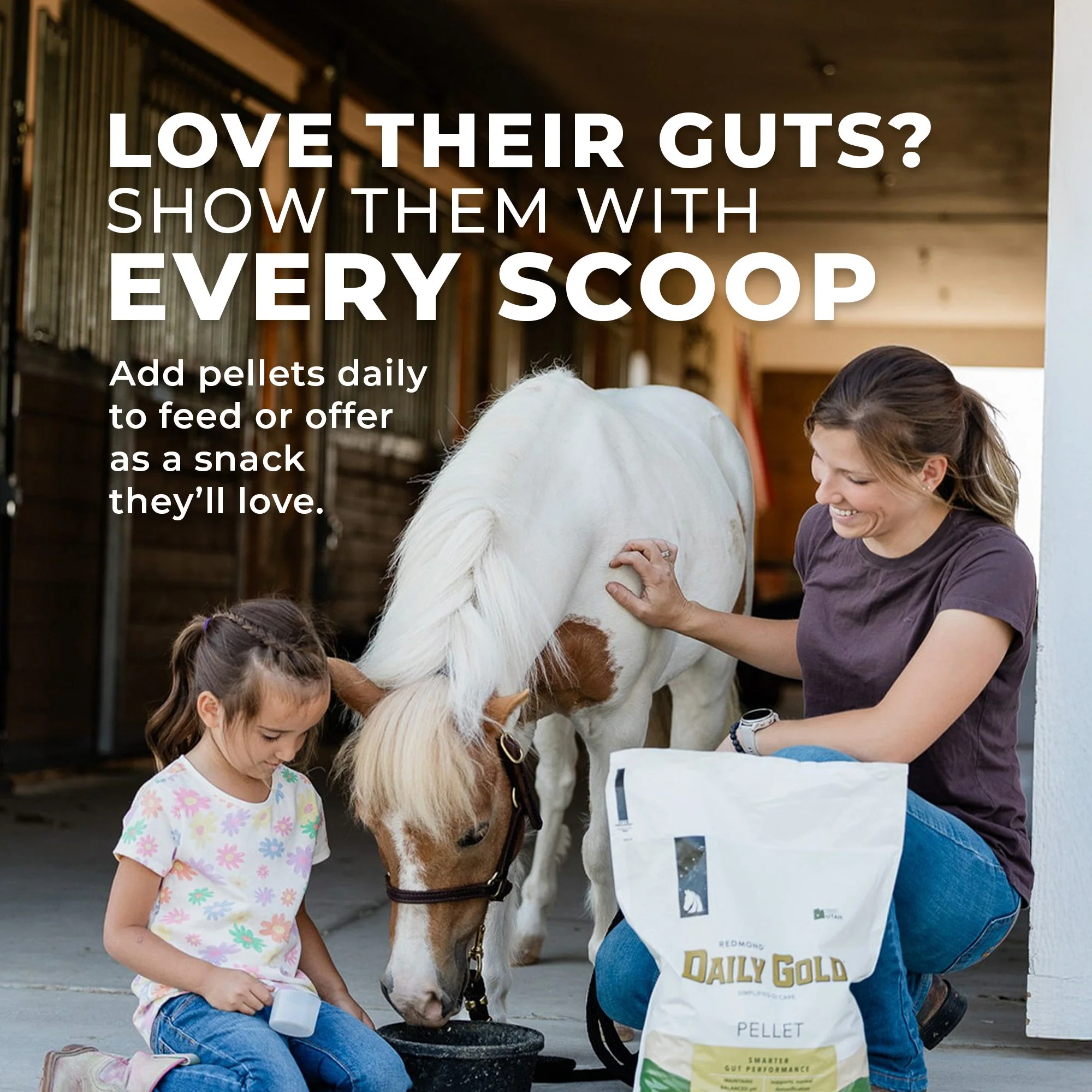 Daily Gold® - Horse Gut Supplements - Image 5