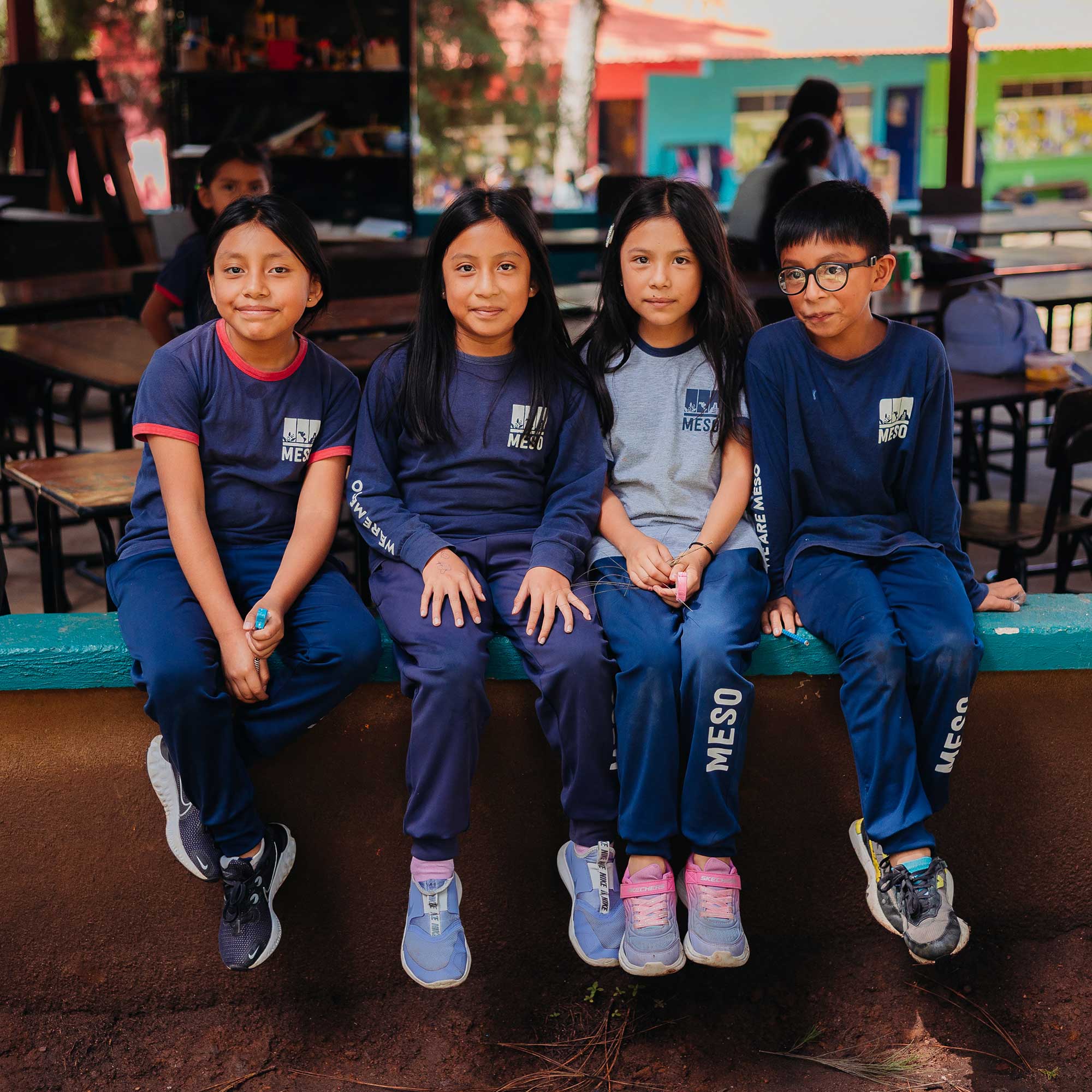 Donate - Meso Foundation - Image 8