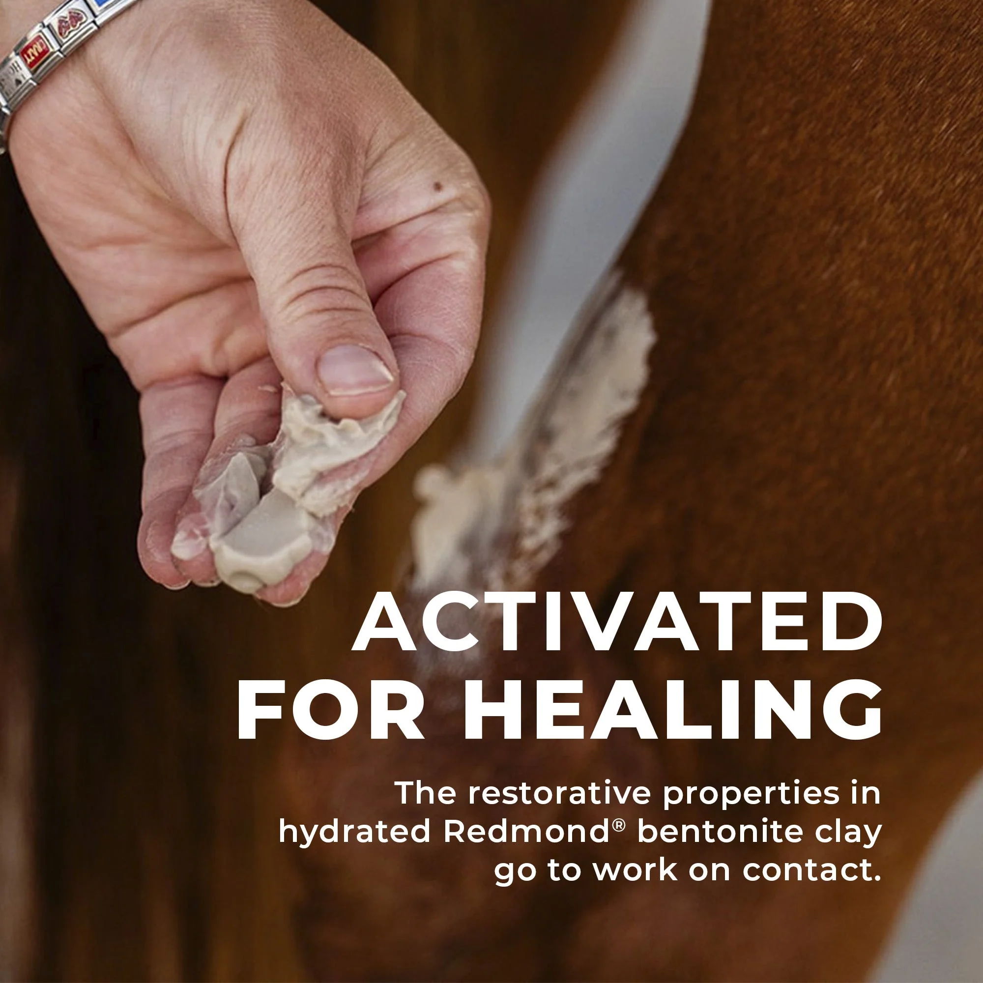 Simply Clay Salve – Bentonite Clay Horse Wound Care - Image 6