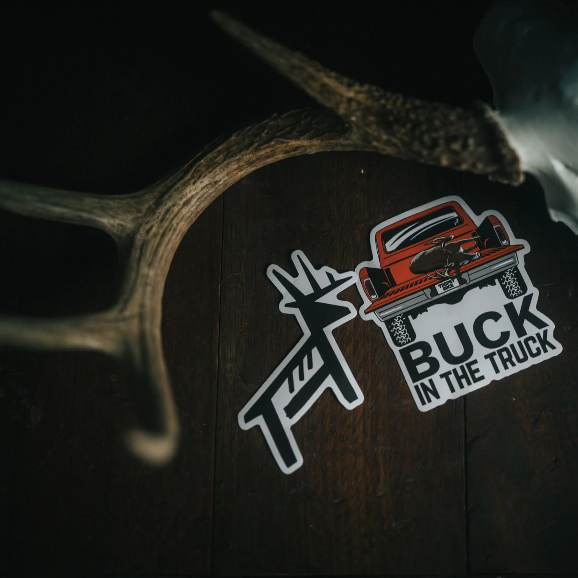 Decal Stickers 2 Pack - Image 4