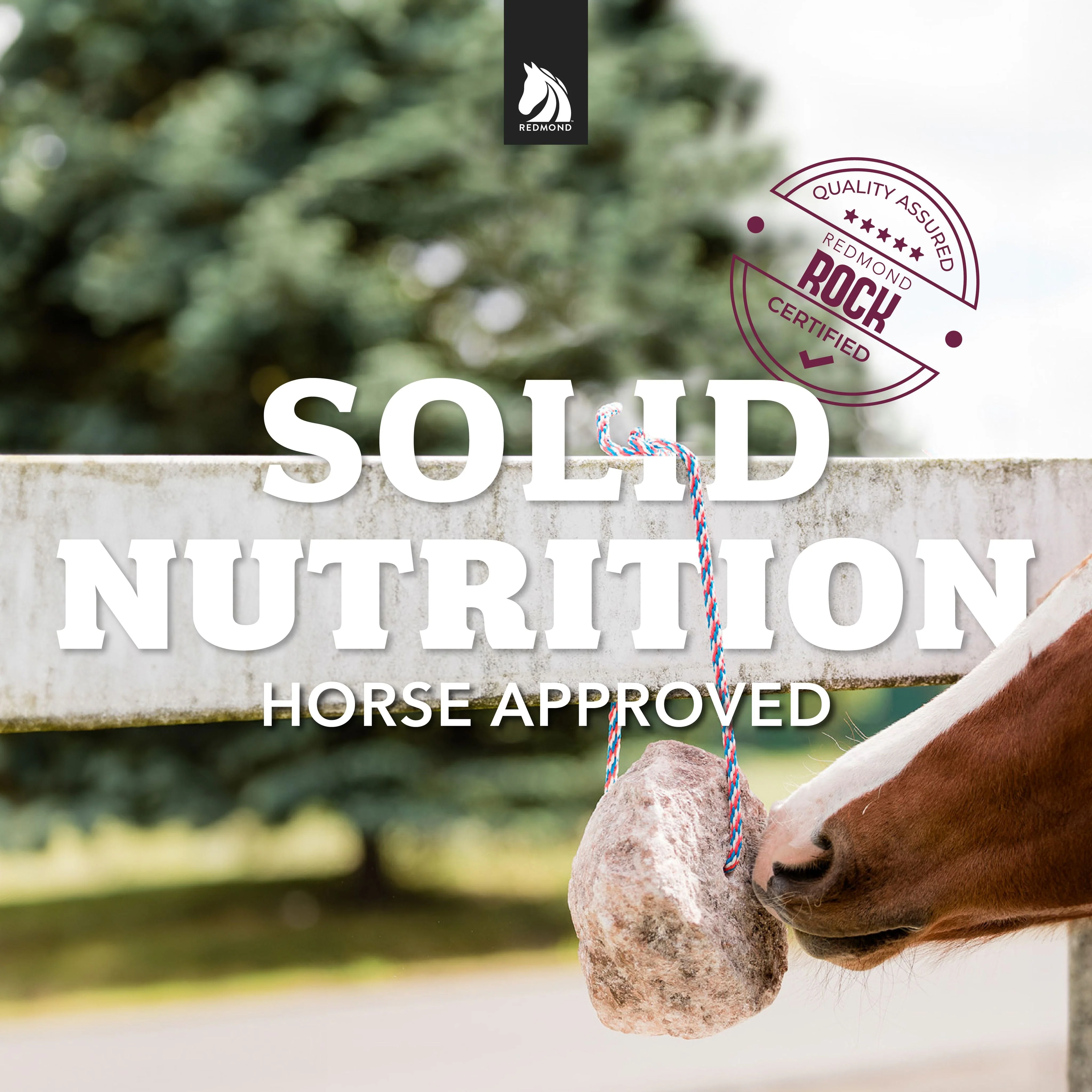 Redmond Rock® - Mined Horse Salt Lick - Image 5